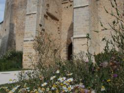 Agrandir l’image