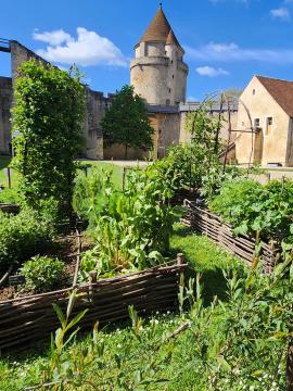 vue du jardin médiéval avec le château en arrière-plan 