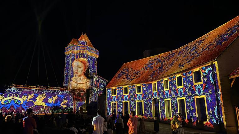 L'image montre la projection d'images sur le château